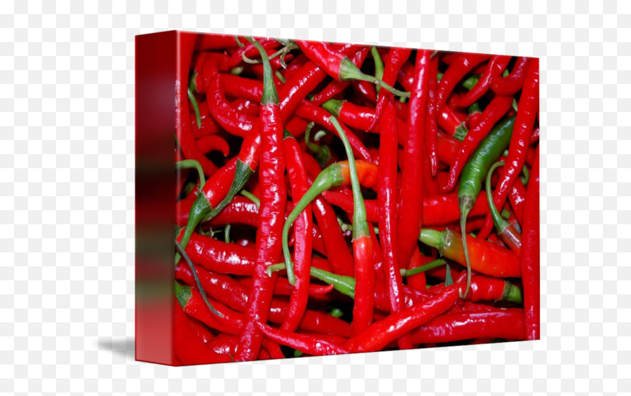 Red Hot Chili Peppers By Arden Tashjian - Red Chilli Png,Red Hot Chili Pepper Logo