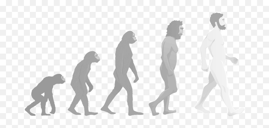 Эволюционирует ли человек. Эволюция. От обезьяны к человеку. Эволюция человека. Эволюция без фона.