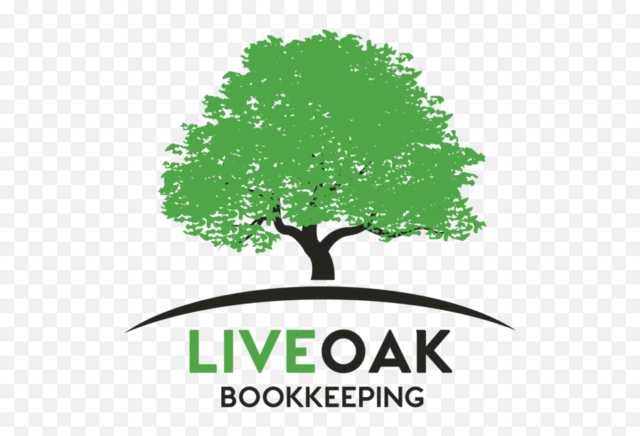 Home Png Live Oak