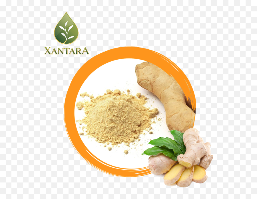Buy Dry Ginger Powder Tea - Sukku Powder Png,Ginger Root Icon