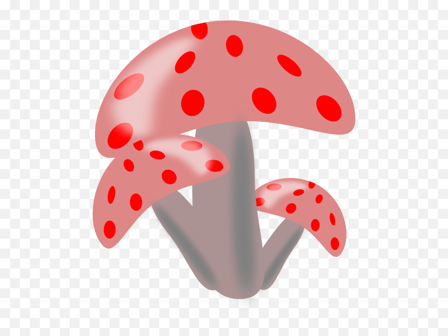 How To Set Use Ciuperci Mushrooms Icon Png - Mushroom Ciuperci Clipart Png,Mushrooms Icon