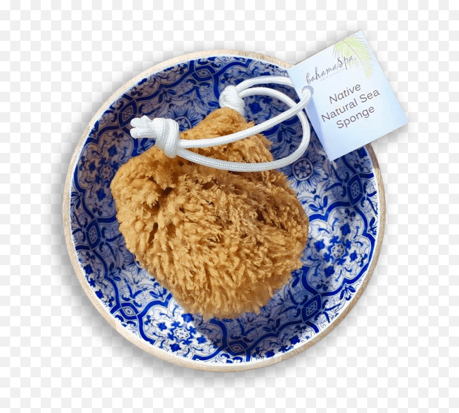 Natural Sea Sponge - Natural Sea Sponge Bath On A Rope Png,Sponge Png