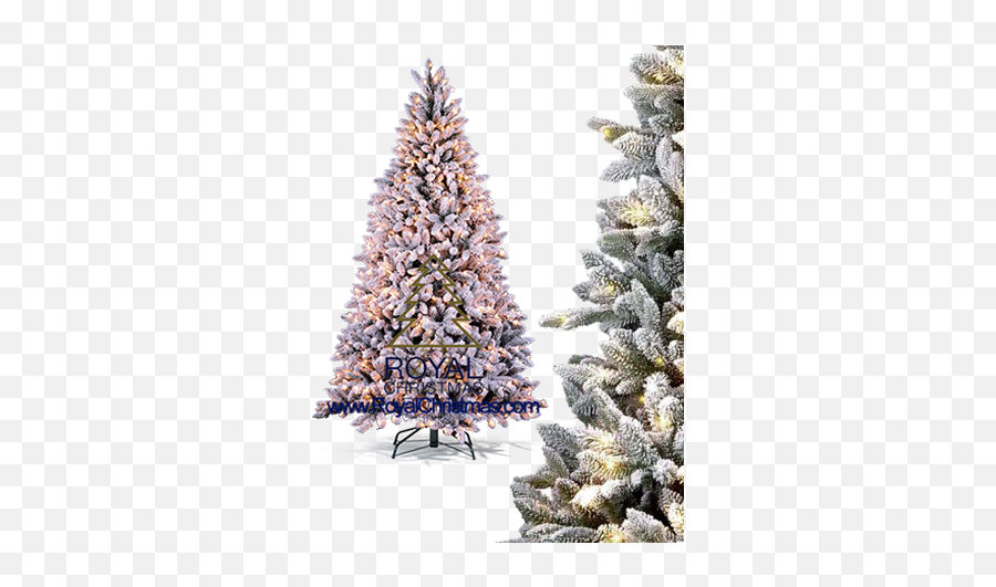 Artificial Christmas Trees Png Snowy