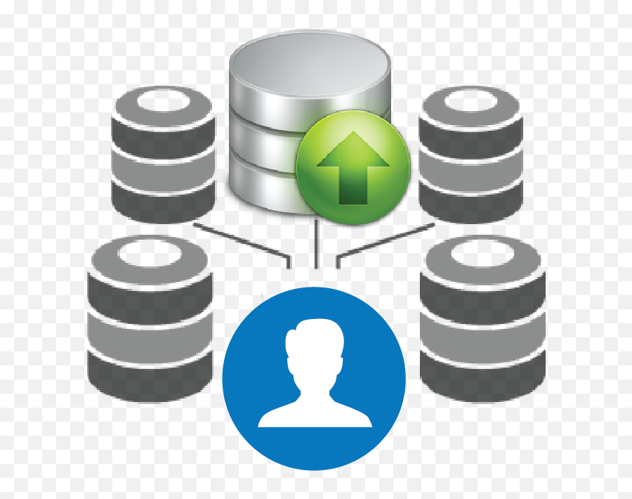 Ent - Vision Niche Technology In Transforming Big Data Into Vertical Png,Data Enrichment Icon