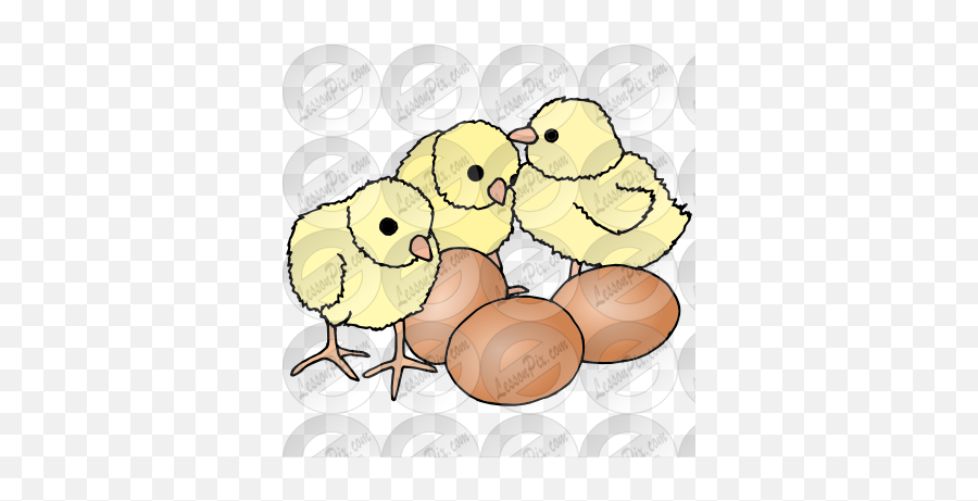 Lessonpix Mobile - Clip Art Png,Baby Chicks Png