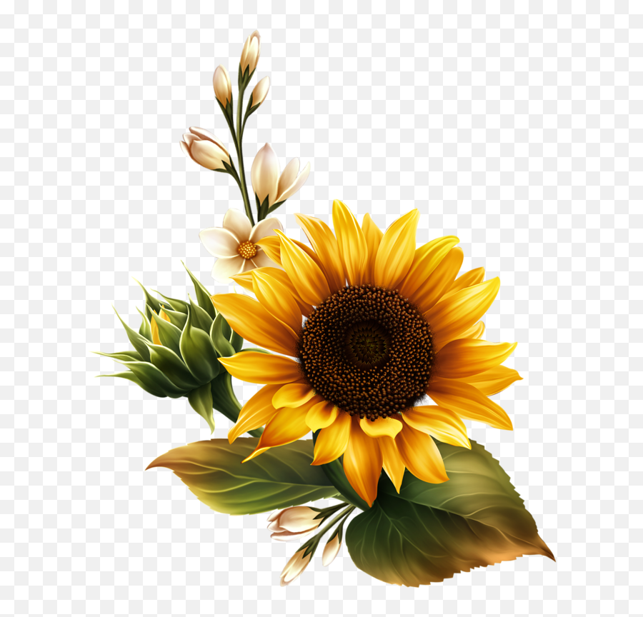 Image Du Blog Zezete2 - Clear Background Sunflower Transparent Png,Watercolor Sunflower Png