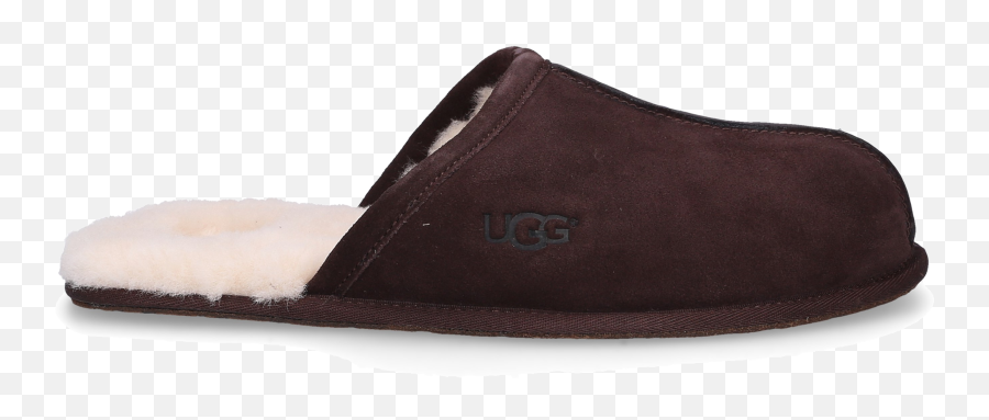 Ugg Slippers Scuff Online Shopping - Mybudapestercom Ugg Mens Slippers Png,Uggs Icon