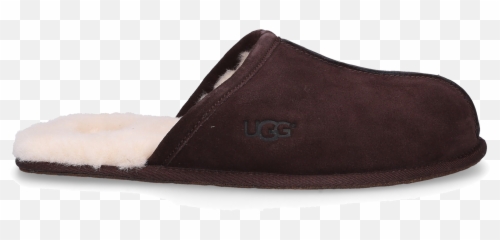 Ugg Slippers Scuff Online Shopping - mybudapestercom Ugg Mens png
