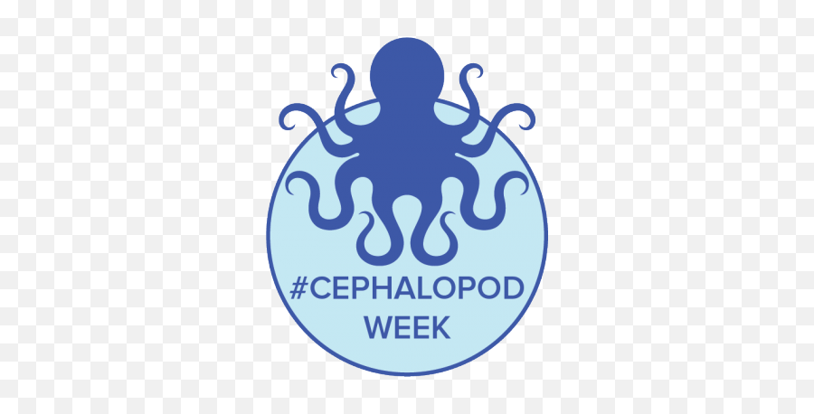 Science Fridayu0027s Cephalopod Movie Night Presented By Capital - Please Do Not Taunt The Octopus Png,Movie Night Png