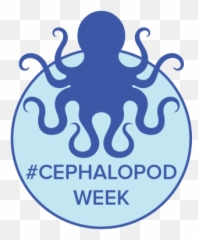 Science Fridayu0027s Cephalopod Movie Night Presented By Capital - Please Do Not Taunt The Octopus Png,Movie Night Png