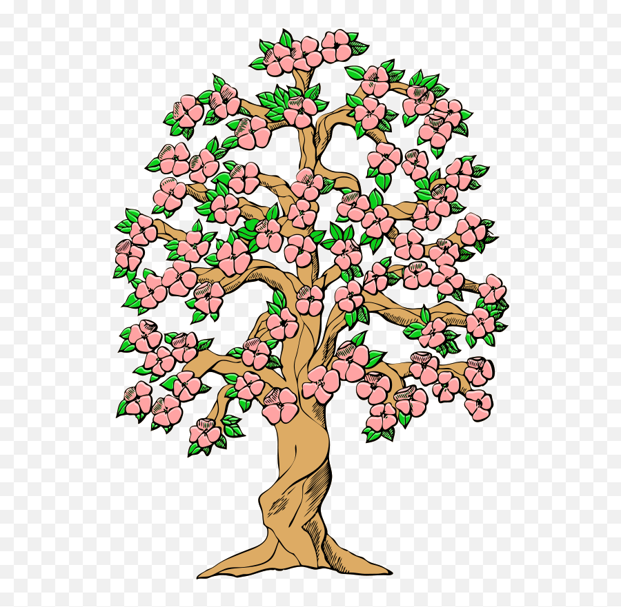Library Of Old Tree Png Stock Files - Tree Clip Art,Old Tree Png