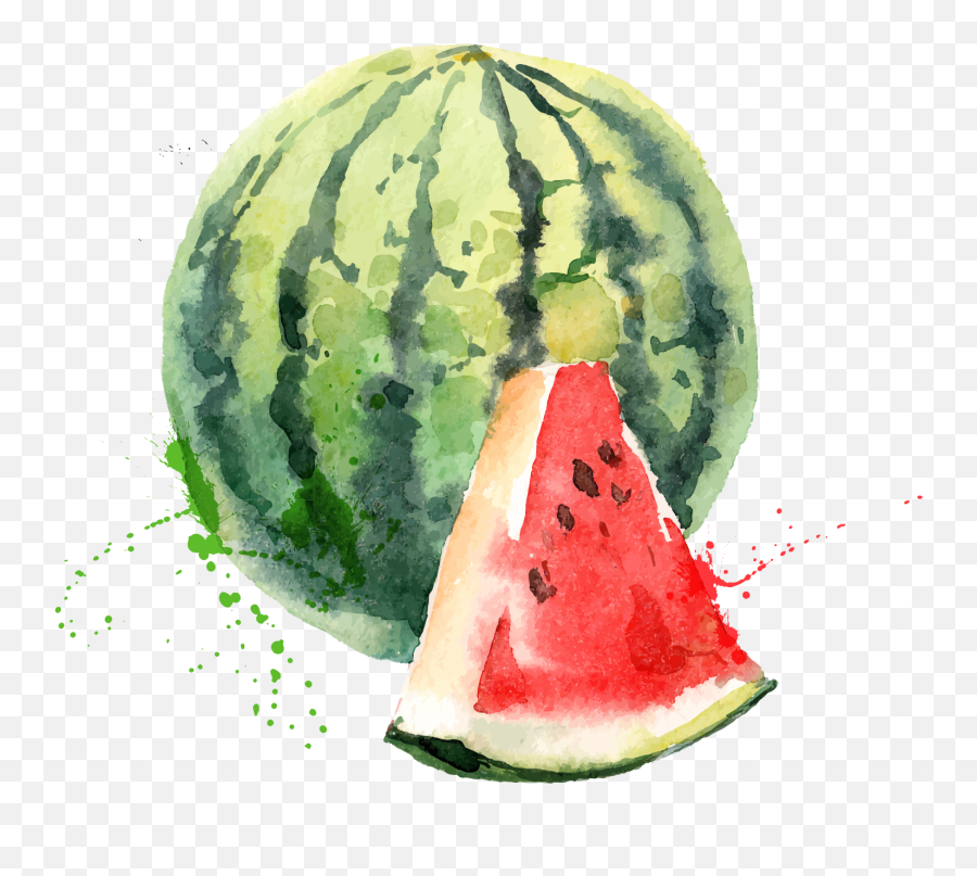 Download Watermelon Png Free Clipart - Water C Olor Fruits,Watermelon Png Clipart