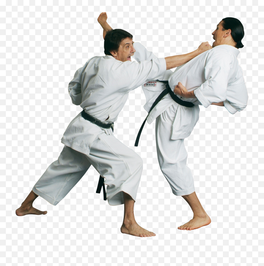 Karate Png - Transparent Karate Png,Martial Arts Png