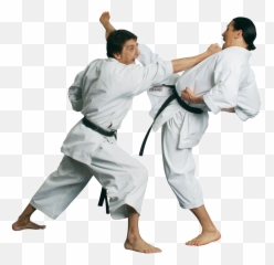 Karate Png - Transparent Karate Png,Martial Arts Png