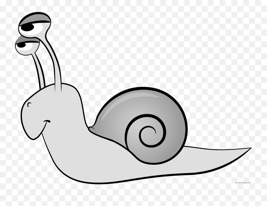 Cartoon Snail Animal Free Black White - Animated Snail Png,Snail Transparent