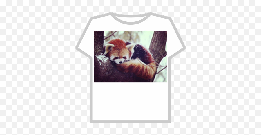 Red Panda Donation - Roblox Pepsi T Shirt Roblox Png,Red Panda Transparent