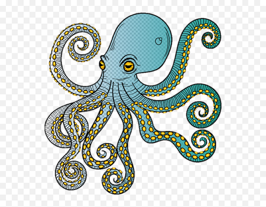 Download Polvo - Octopus Full Size Png Image Pngkit Octopus,Octopus Png