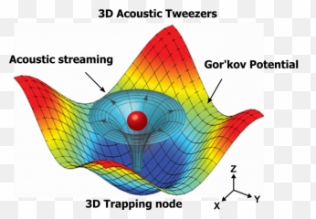 Acoustic Tweezers Levitate Single Cells Using Sound Waves - Levitation By Sound Waves png