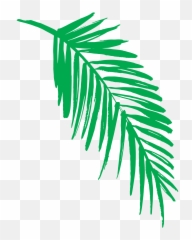 2019 Green Jungle Leaf - Purple Trees Transparent Background Leaves Clip Art png