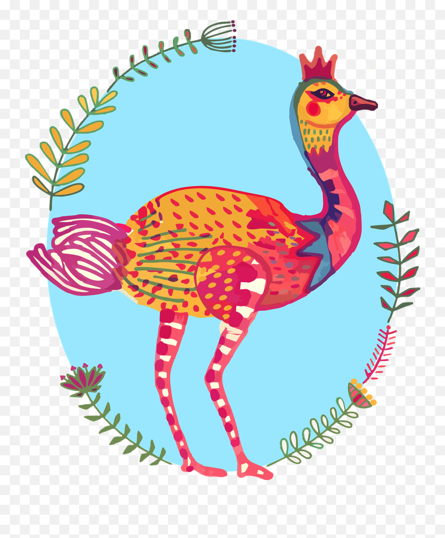 Ostrich Bird Colourful South - Free Image On Pixabay Cartoon Png,Ostrich Png