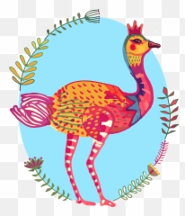 Ostrich Bird Colourful South - Free Image On Pixabay Cartoon Png,Ostrich Png