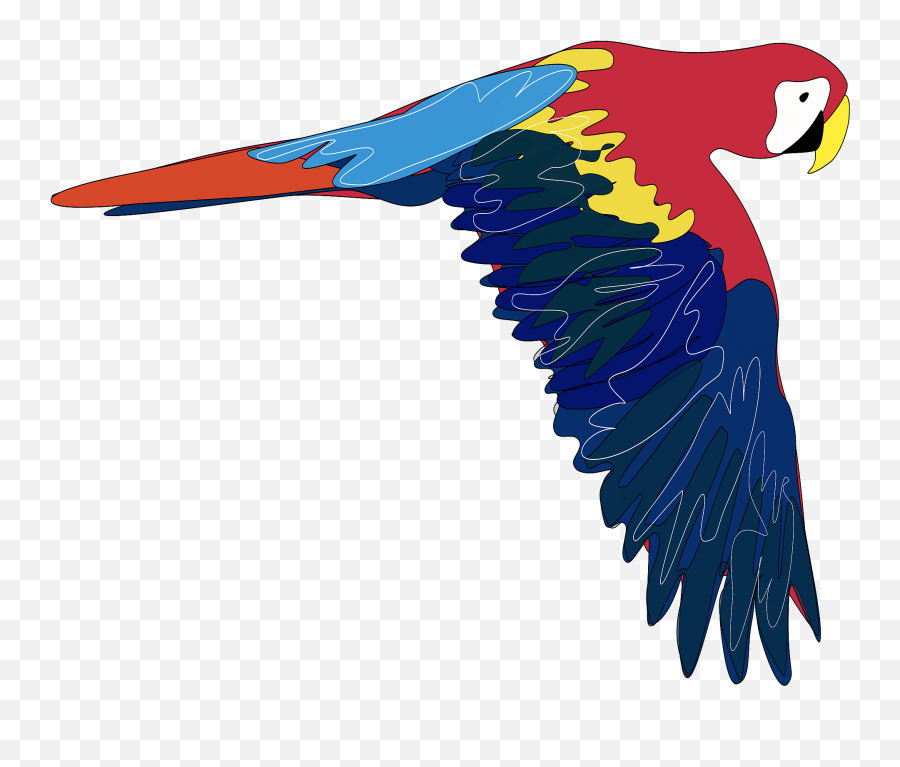 Macaw In Flight Clipart Free Download Transparent Png - Parrot Clip Art,Macaw Png