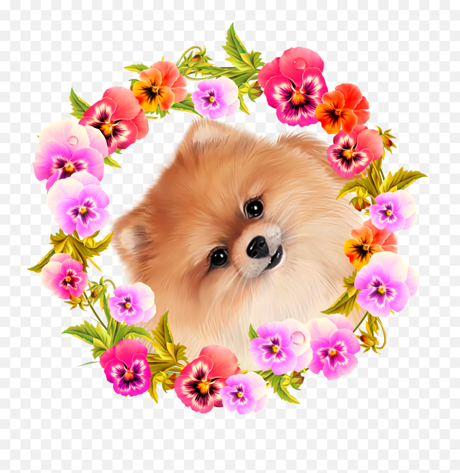 Puppies And Flowers Clipart Cute Puppy Dog Spitz Png