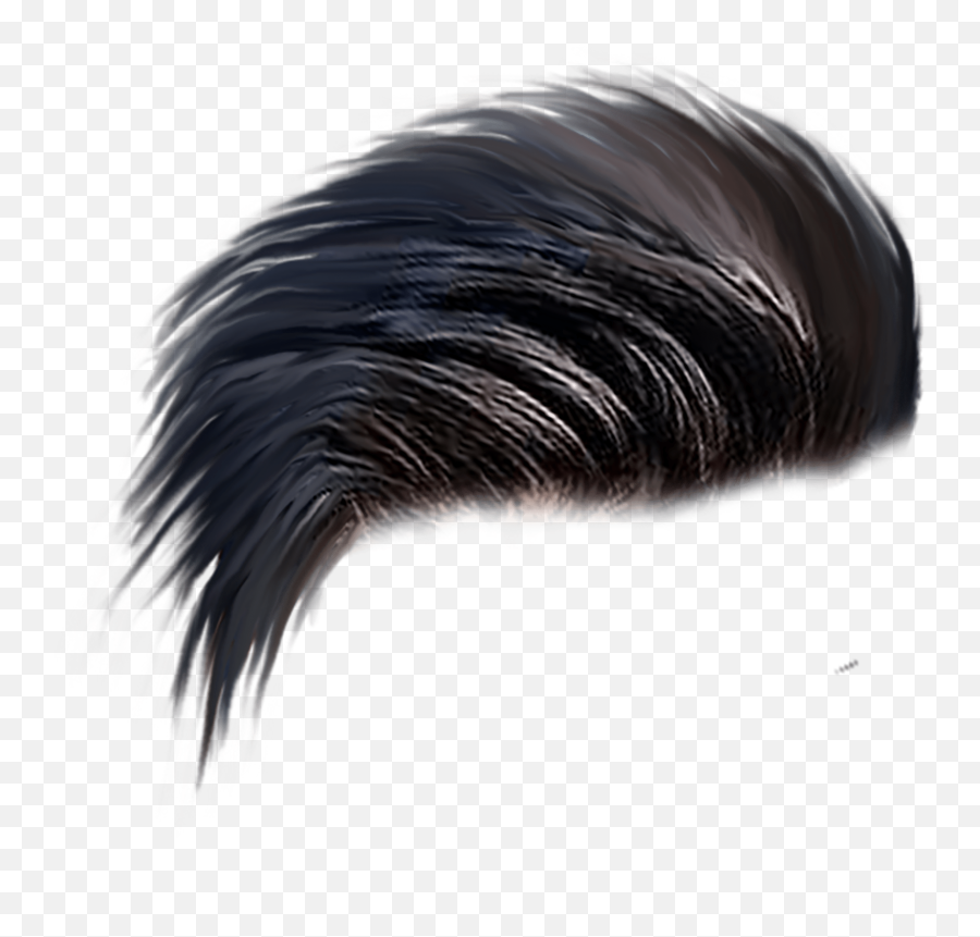 Pin Png Hairstyle