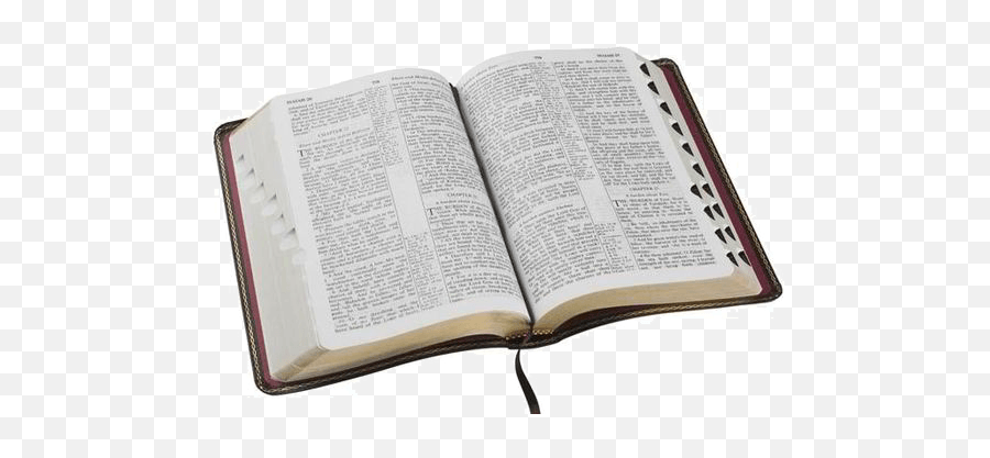 Download Adult Coed Bible Study - Imagem Da Bíblia Aberta Png,Bible Study Png