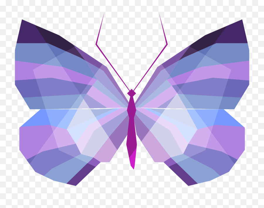 Download Butterfly Lilac Geometry Color - Drawing Png,Lilac Png