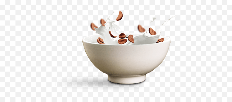 Home - Breakfast Cereal Products Corn Flakes Choco Flakes Corn Flakes Bowl Png,Cereal Bowl Png