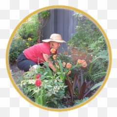 Home - Lowcountry Master Gardener Association Botanical Garden Png,Gardener Png