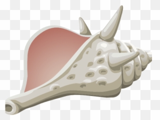 Download Hd Shell Clipart Conch - Seashells Clipart Clip Art Png,Seashell Clipart Png