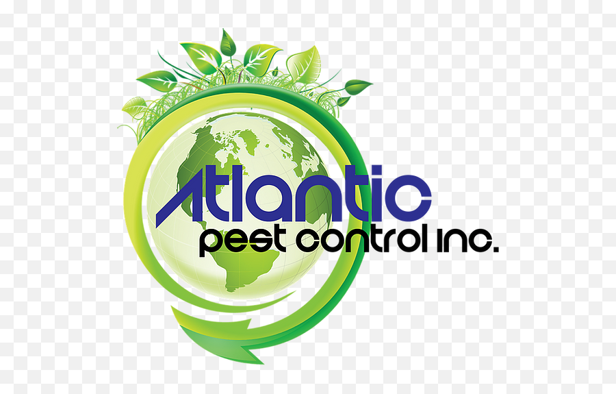 Atlantic Pest Control - 100 Nontoxic Ecology Png,Non Toxic Icon