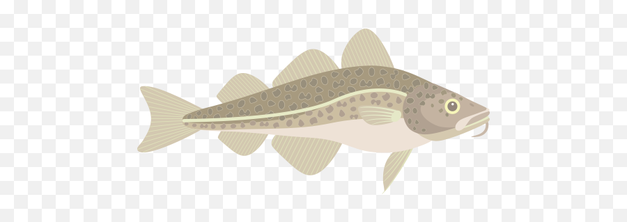 Snug Harbor Fish Company - Pollocks Png,Bass Fish Icon