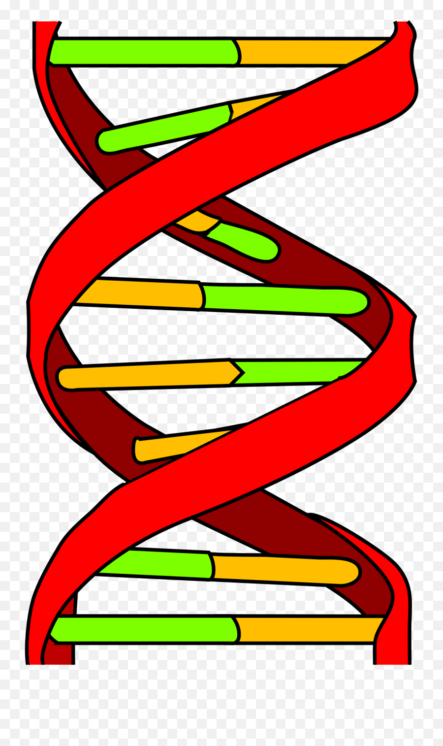 Dna Icon - Dna Icon Png Transparent,Dna Colorful Icon