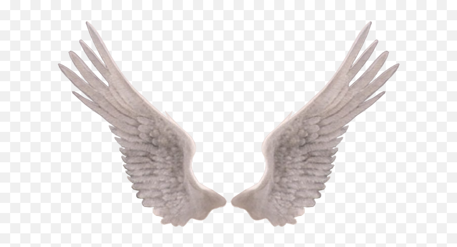 Angel Wings Png Edit Photography - Ailes D Ange Png,Wings Png