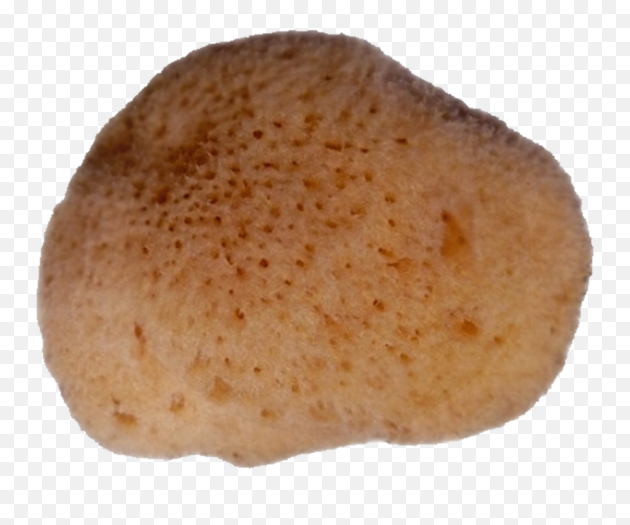 Levant Sponge Pur Natur 6 Cm - Bread Png,Sponge Png