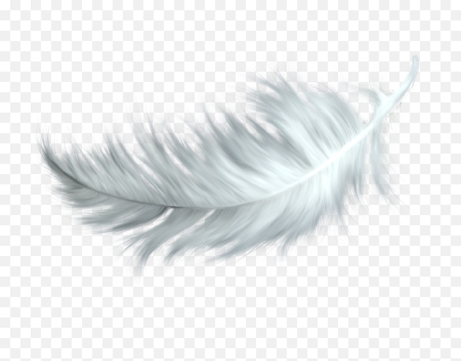 Feather Pen Png Black And White - Birds Feather Png,Quill Pen Png