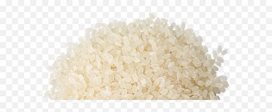 Grain Of Rice Transparent U0026 Png Clipart Free Download - Ywd Grain Of Rice Transparent,Rice Transparent Background