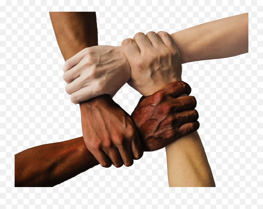 1000 Holding Hands Images U0026 Pictures For Free - Pixabay People Of Different Cultures Holding Hands Png,Hand Holding Png