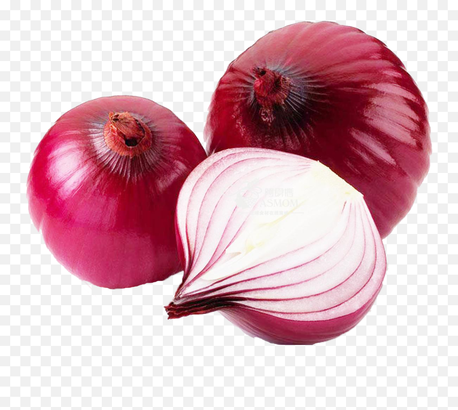 Onion Download Free Png