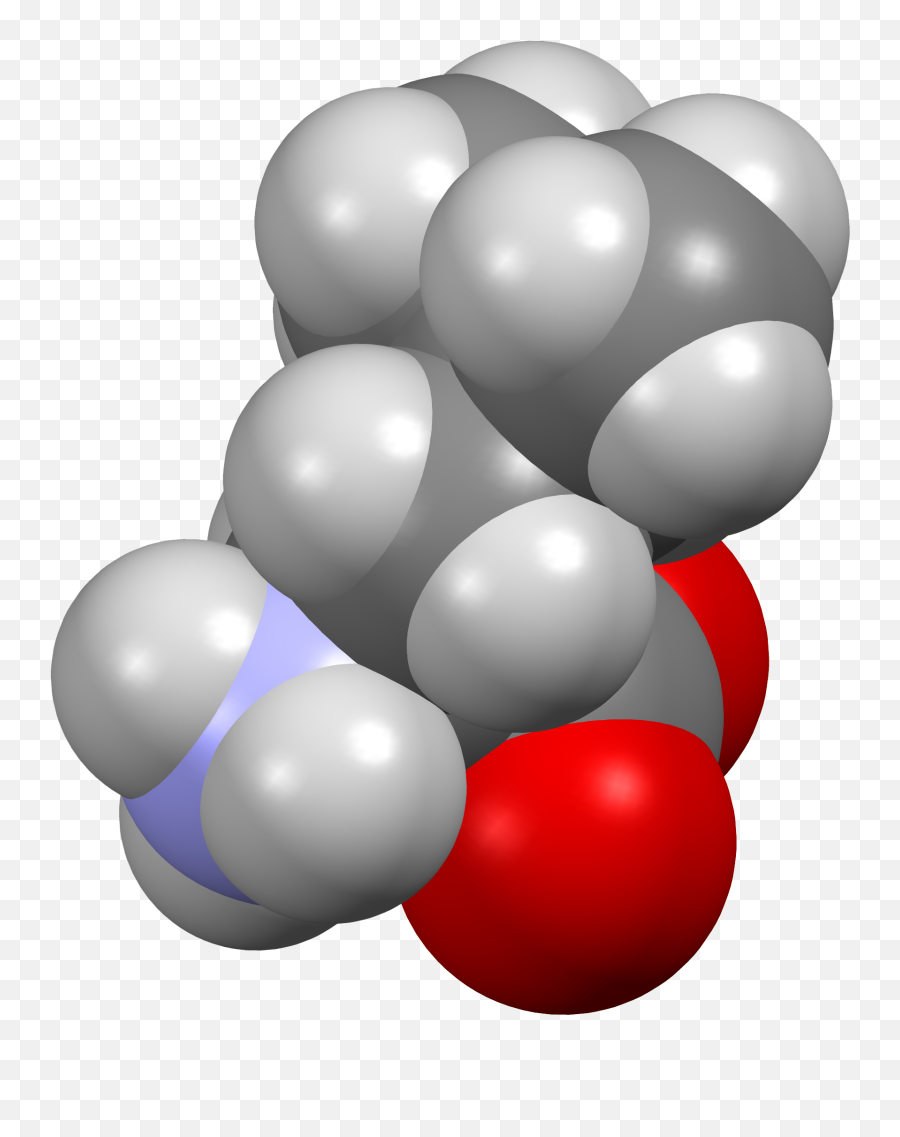 Fileleucine - Fromxtal3dsfpng Wikimedia Commons Leucine Space Filling Model,Sf Icon