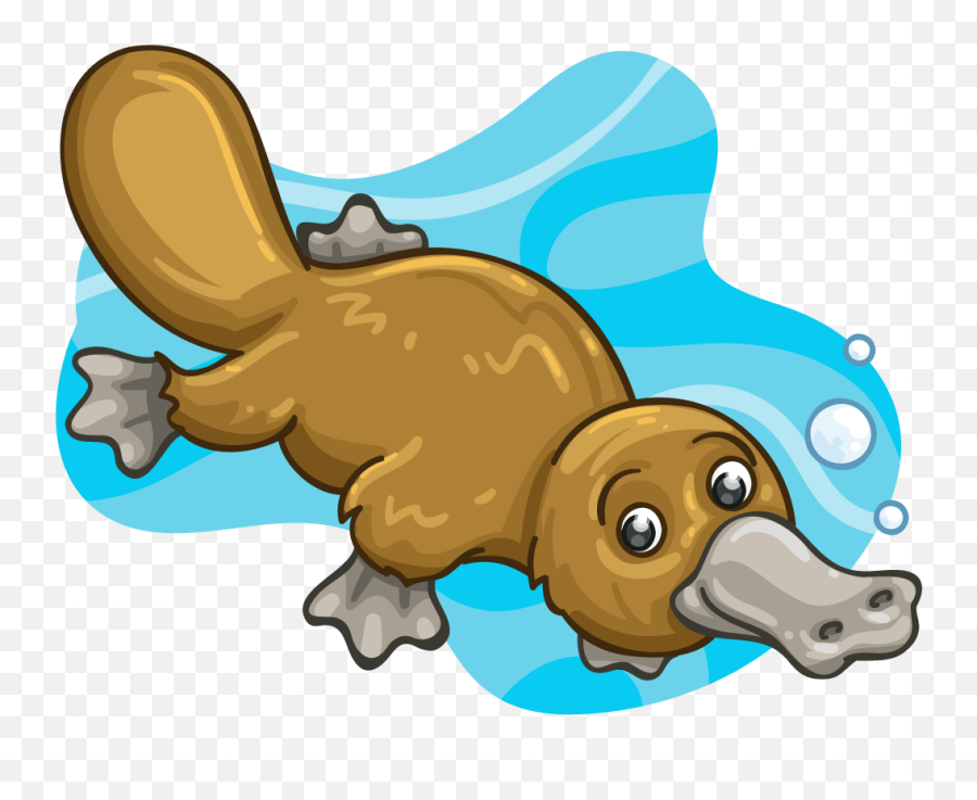 Mammal Clipart Platypus - Platypus Clipart Png,Platypus Png
