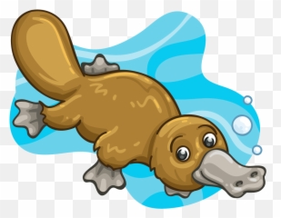 Mammal Clipart Platypus - Platypus Clipart Png,Platypus Png