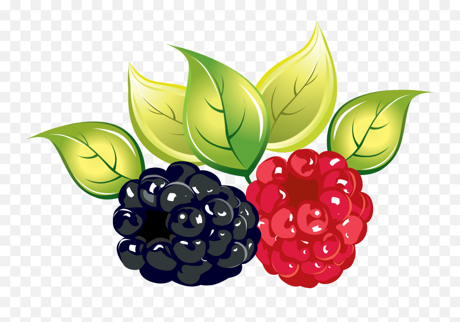Raspberry Png Images Free Pictures Download - Transparent Berries Art,Transparent Clipart
