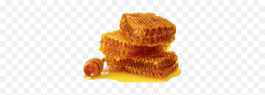 Honeycomb Transparent Png - Stickpng Raw Honey,Beehive Png