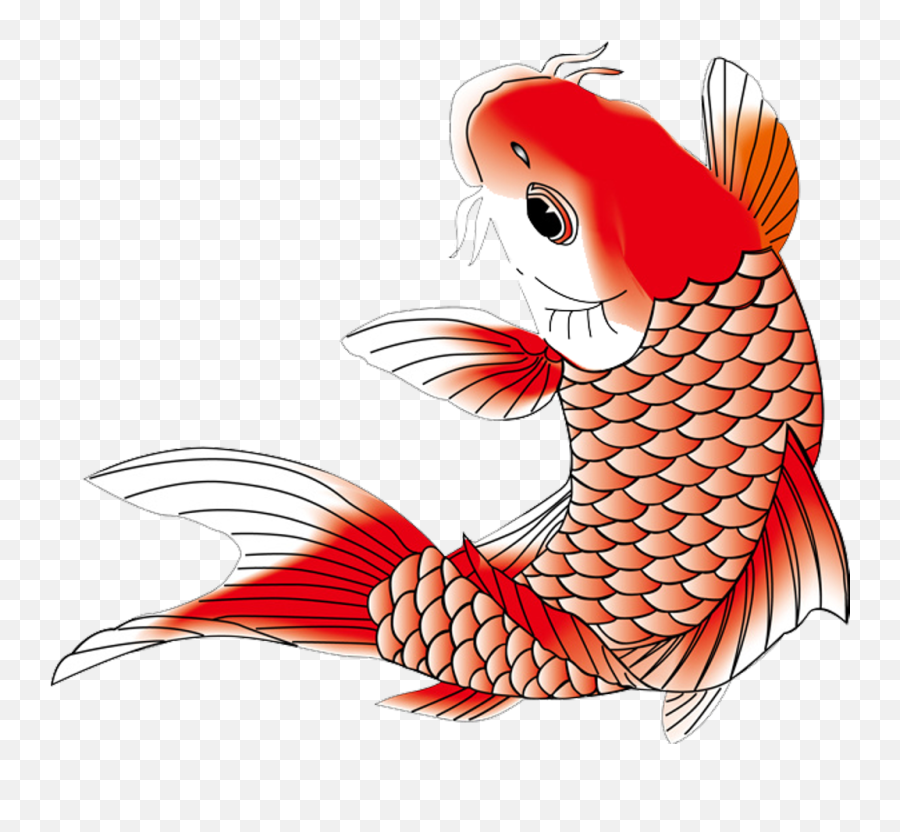 Download Koi Koifish Fish Chinese Japanese Asian Ftestickers - Japanese Koi Fish Png,Fish Png Transparent