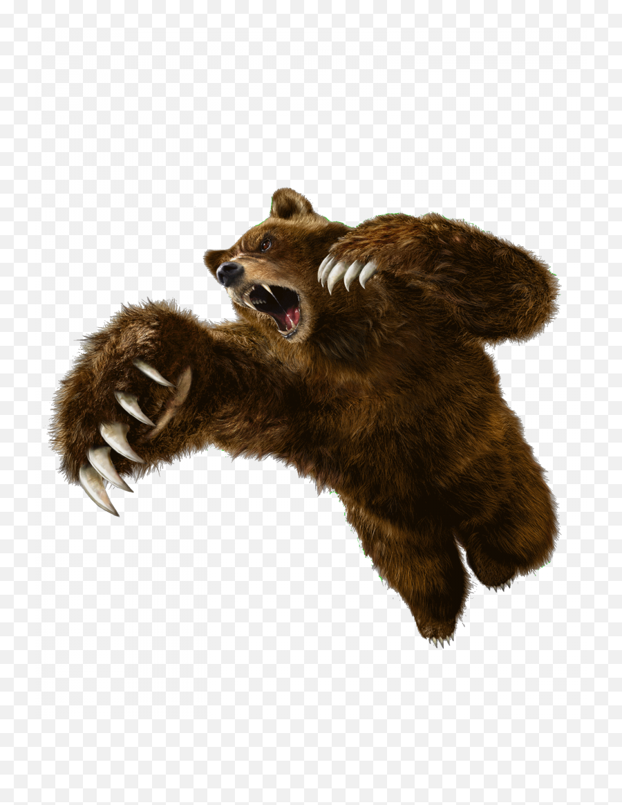 1438 Render Tekken O - Tekken 6 Kuma Png,Tekken 7 Png