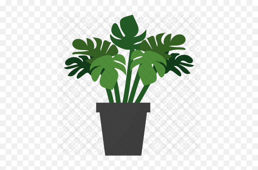Monstera Potted Plant Icon - Flowerpot Png,House Plant Png